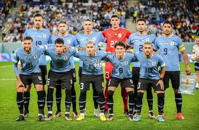 乌拉圭阵容世界杯