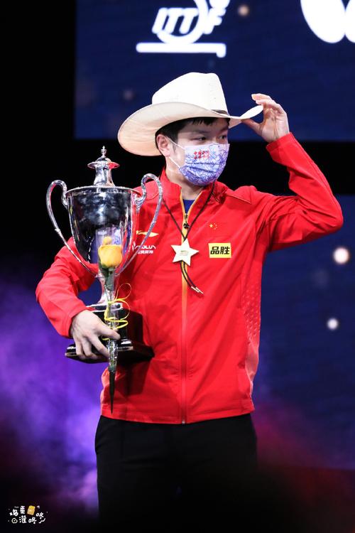 樊振东卫冕世乒赛男单冠军是谁