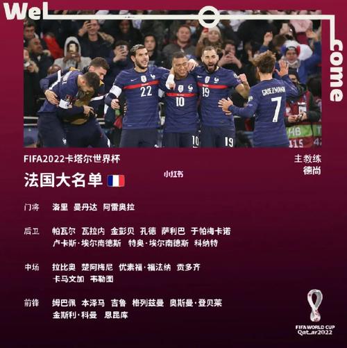 2010年世界杯国家队名单