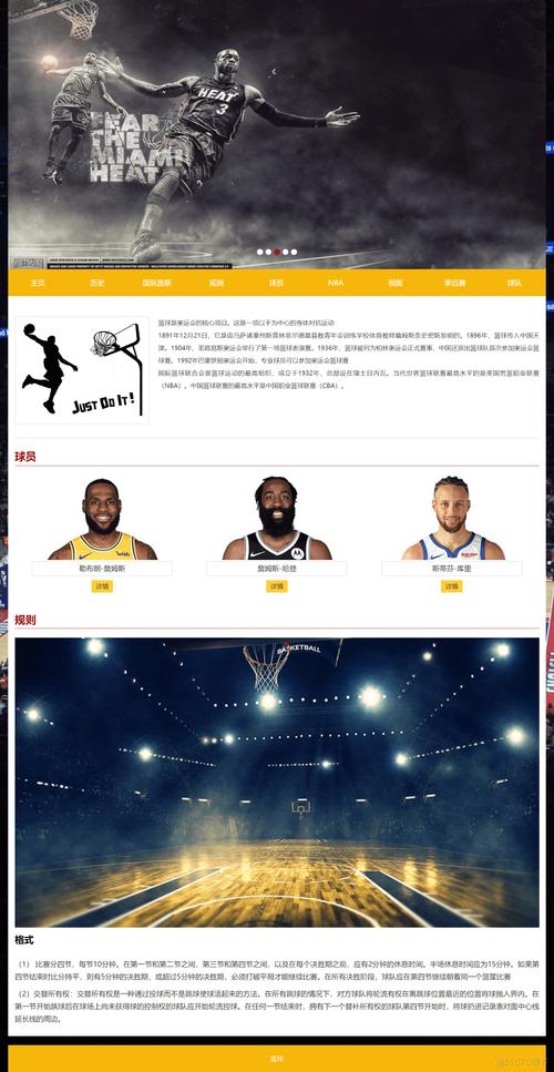 NBA视频网站