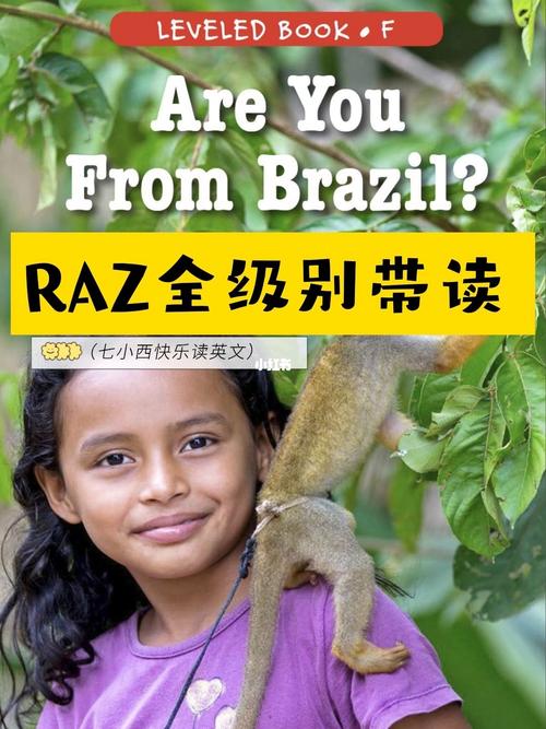 brazil怎么读